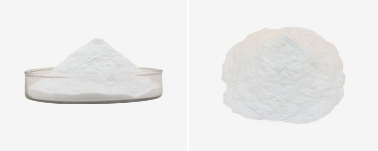 Papain Enzyme Powder 2