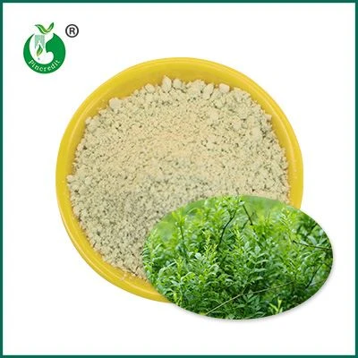Dihydromyricetine Poeder