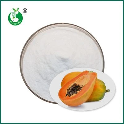 biologisch papaïnepoeder