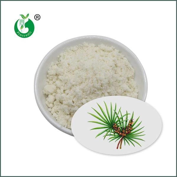 Zaag Palmetto Extract Poeder