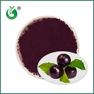 Puur Acai Poeder