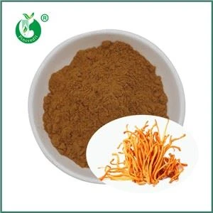 Kruidenextract