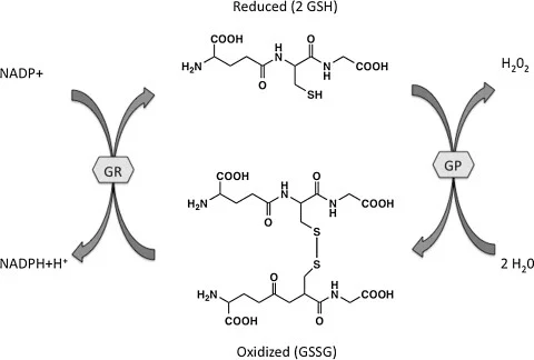 wechatarticle20210728095822jp