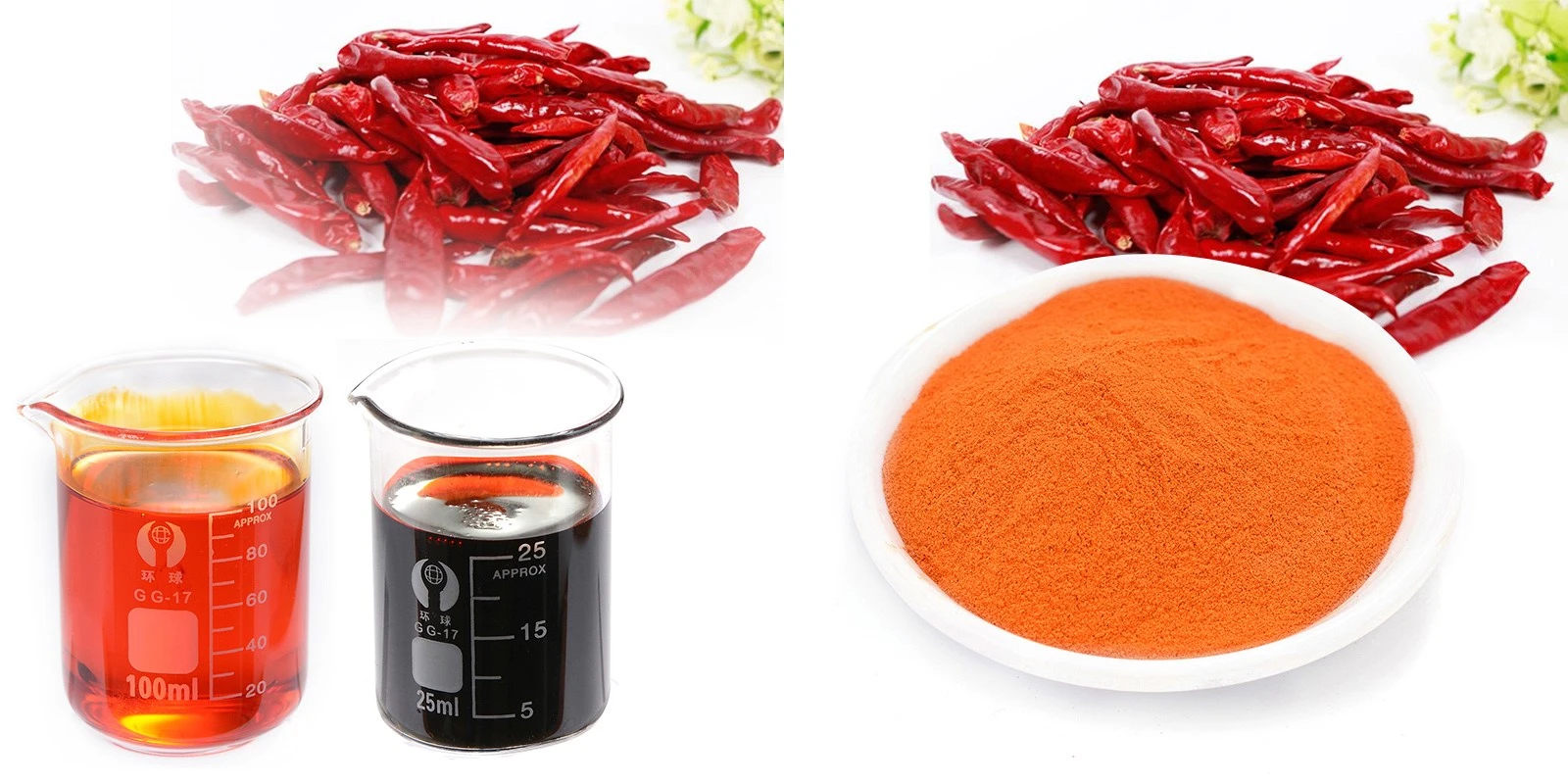 info-1200-600