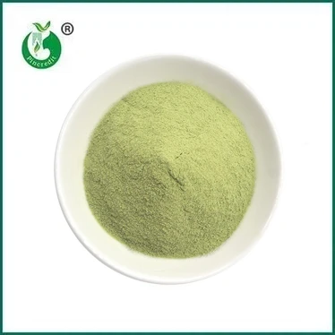 NIEUWE AANKOMST: Matcha Latte Poeder