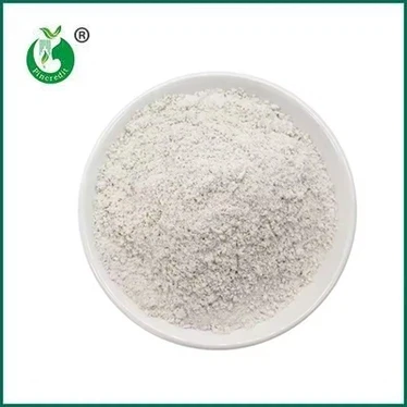 Kan Resveratrol veroudering tegengaan?