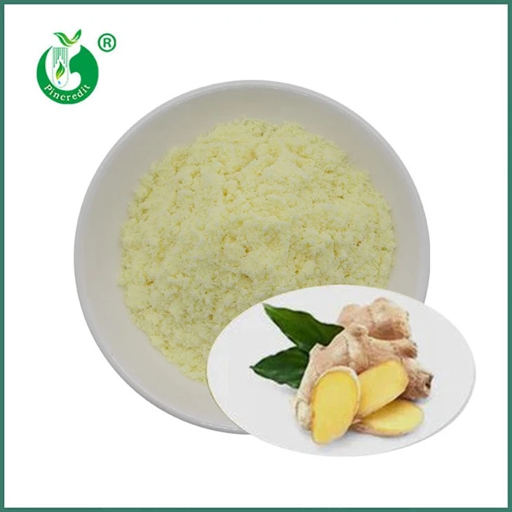 Gingerol Poeder