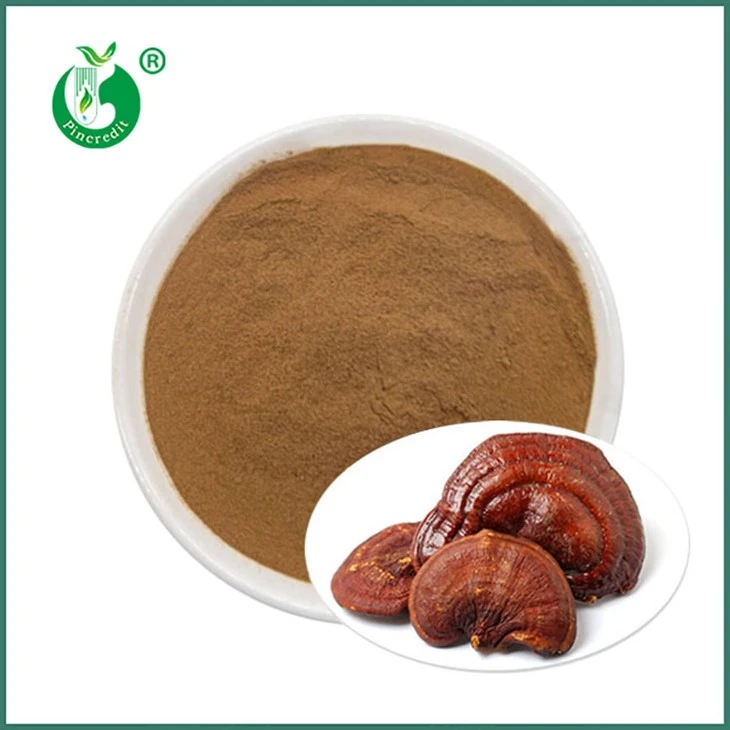Reishi Extract Poeder