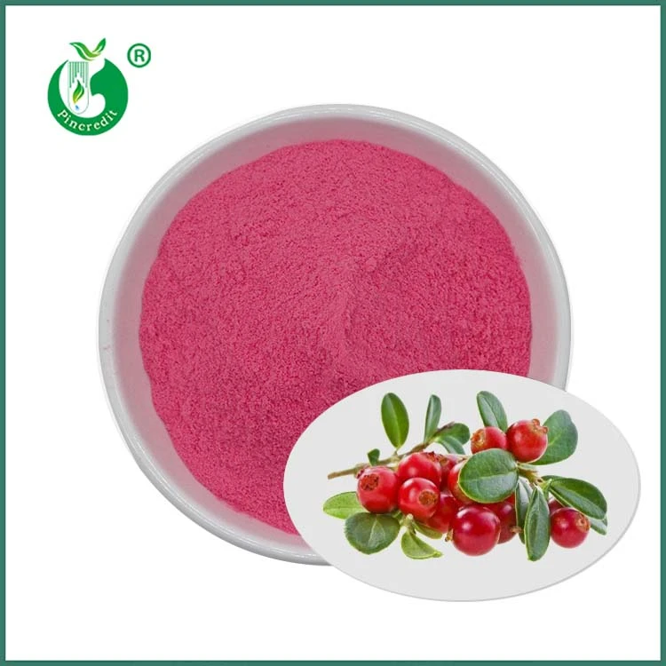 Cranberry sap poeder