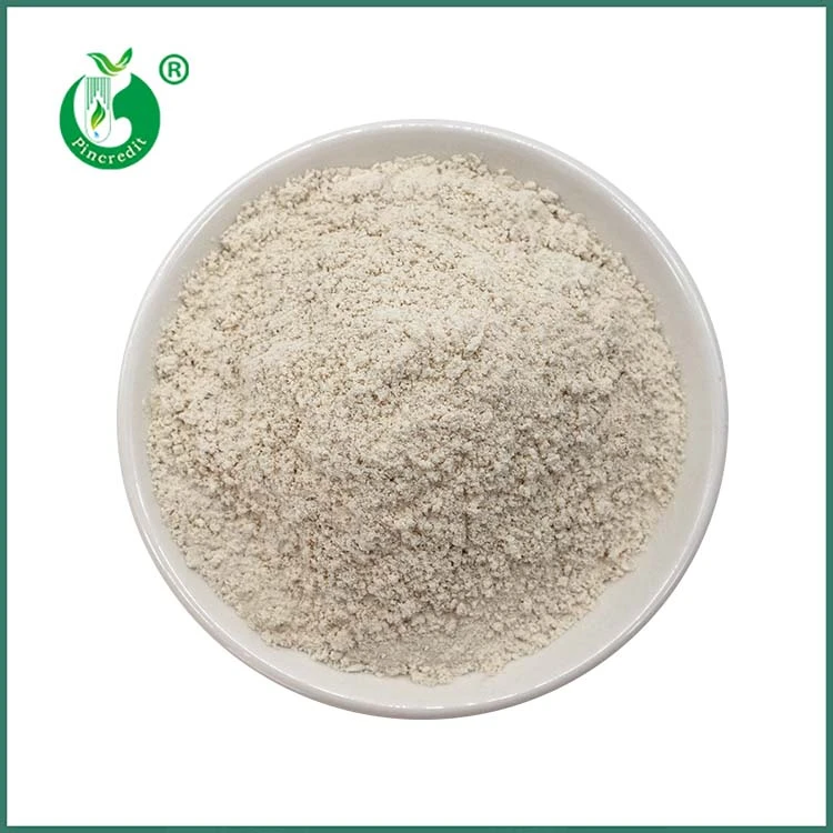 Trans Resveratrol Poeder