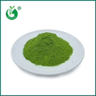 Matcha Groene Thee Poeder